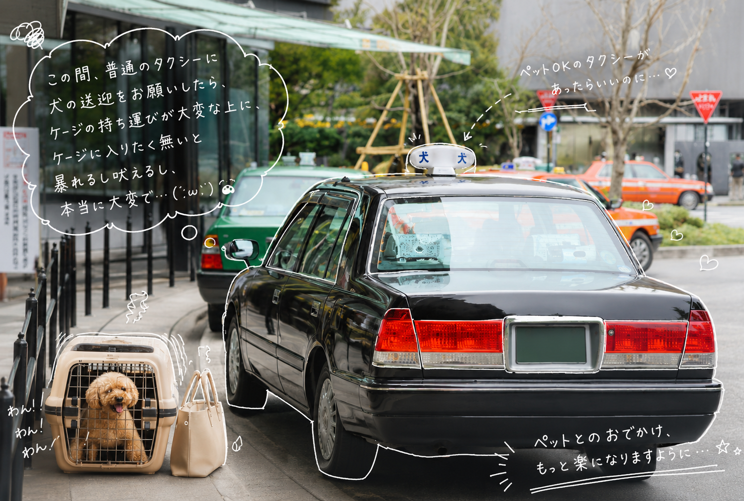 仙台で引っ越しや通院に便利なペットタクシーサービス